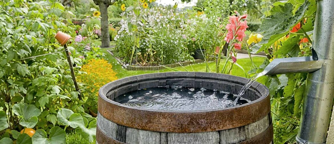 Comment recuperer eau de pluie sans gouttière ?