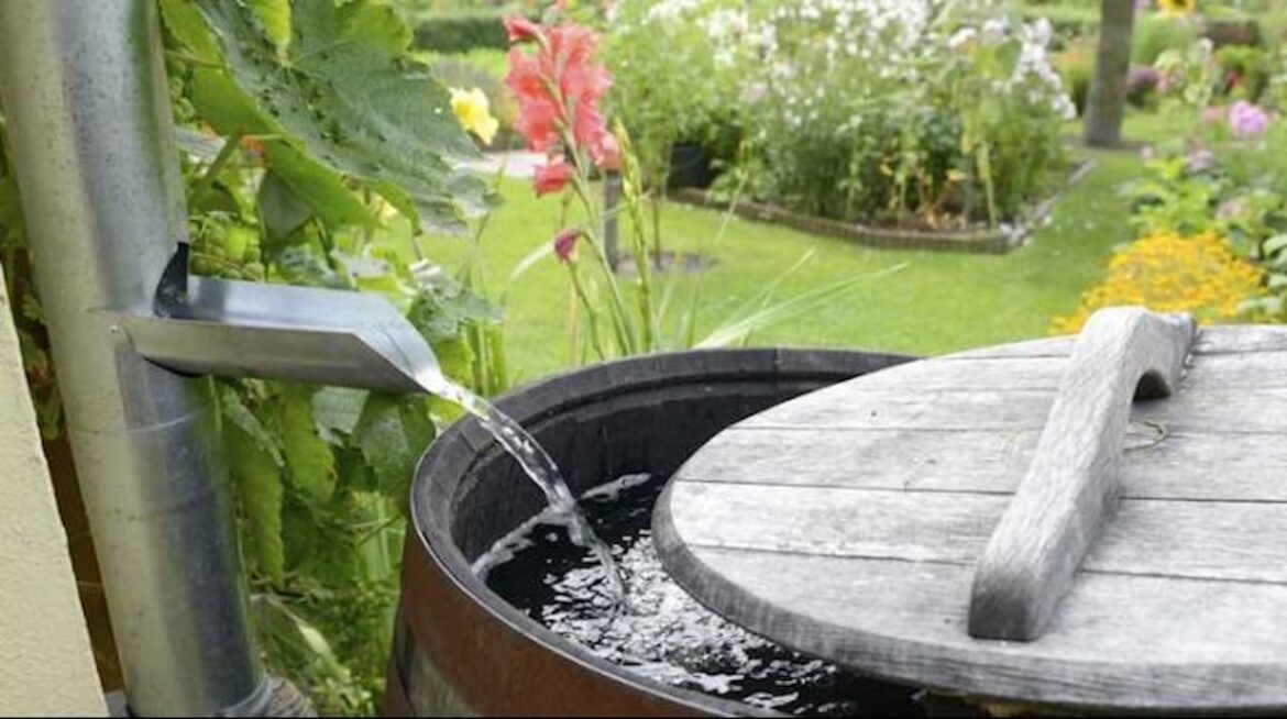 Comment recuperer l'eau de pluie sans toiture ?