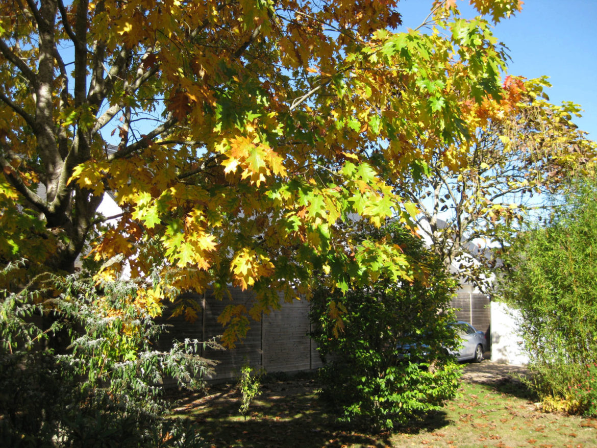 Comment réduire le bruit des toilettes ?