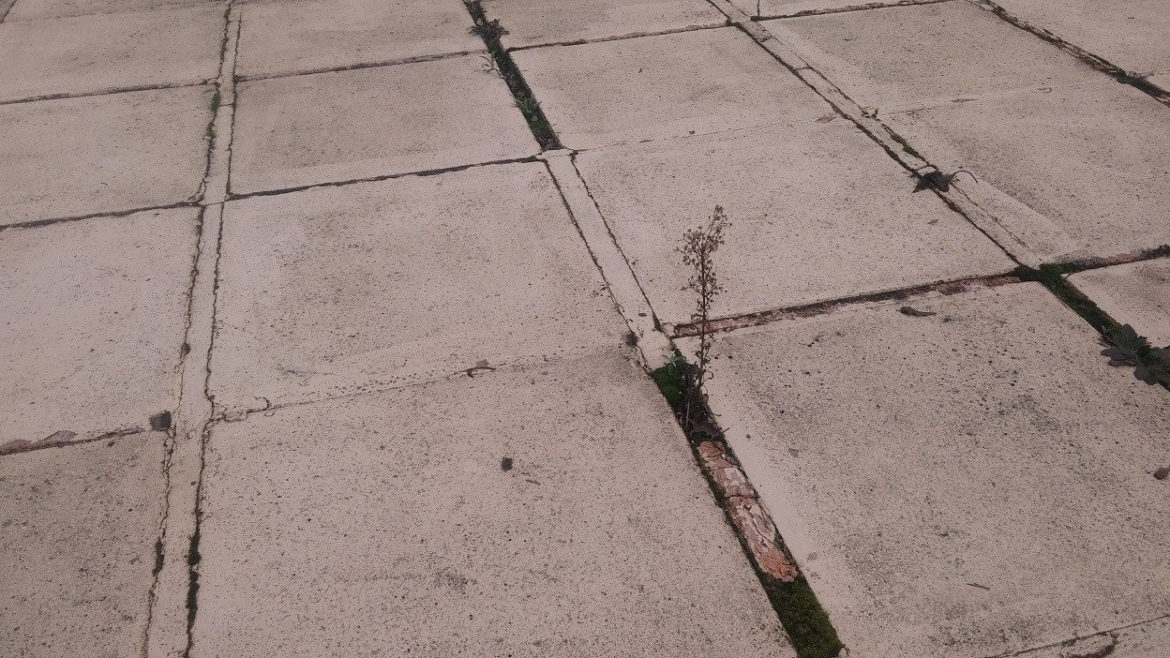 Comment refaire joint terrasse extérieur ?