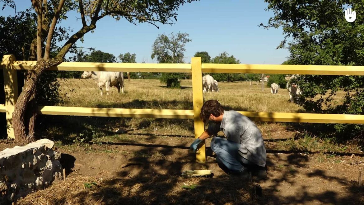 Comment retirer enduit mural ?