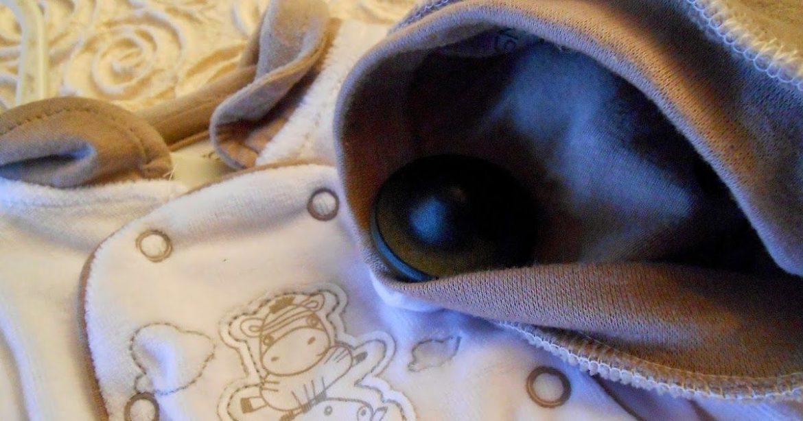 Comment retirer un globe ?