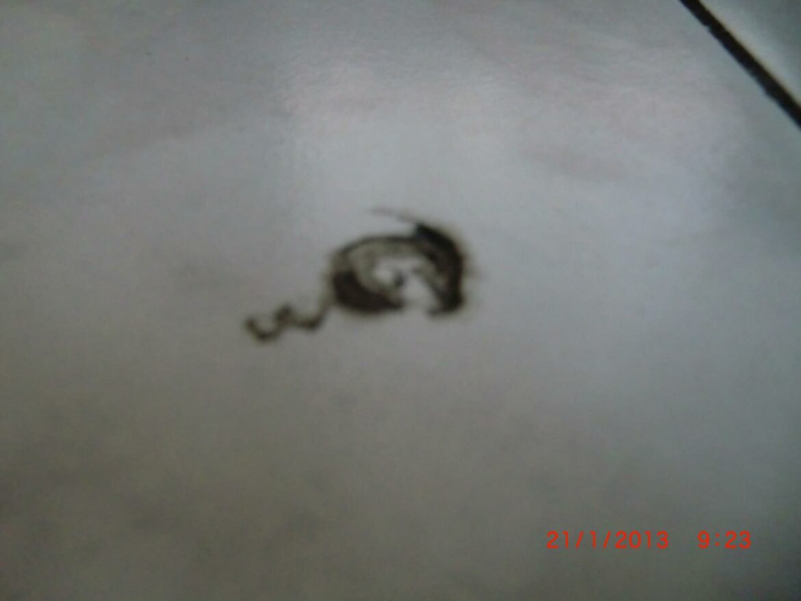 Comment savoir qui est propriétaire d'une clôture ?