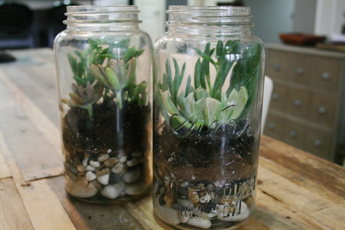 Comment savoir si la cheminée doit être ramoner ?