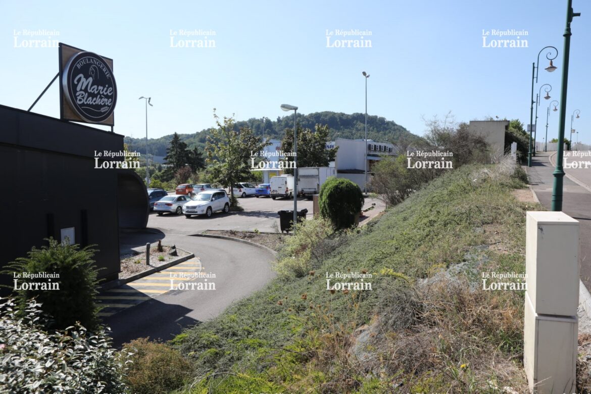 Comment se débarrasser des fouines dans les combles ?