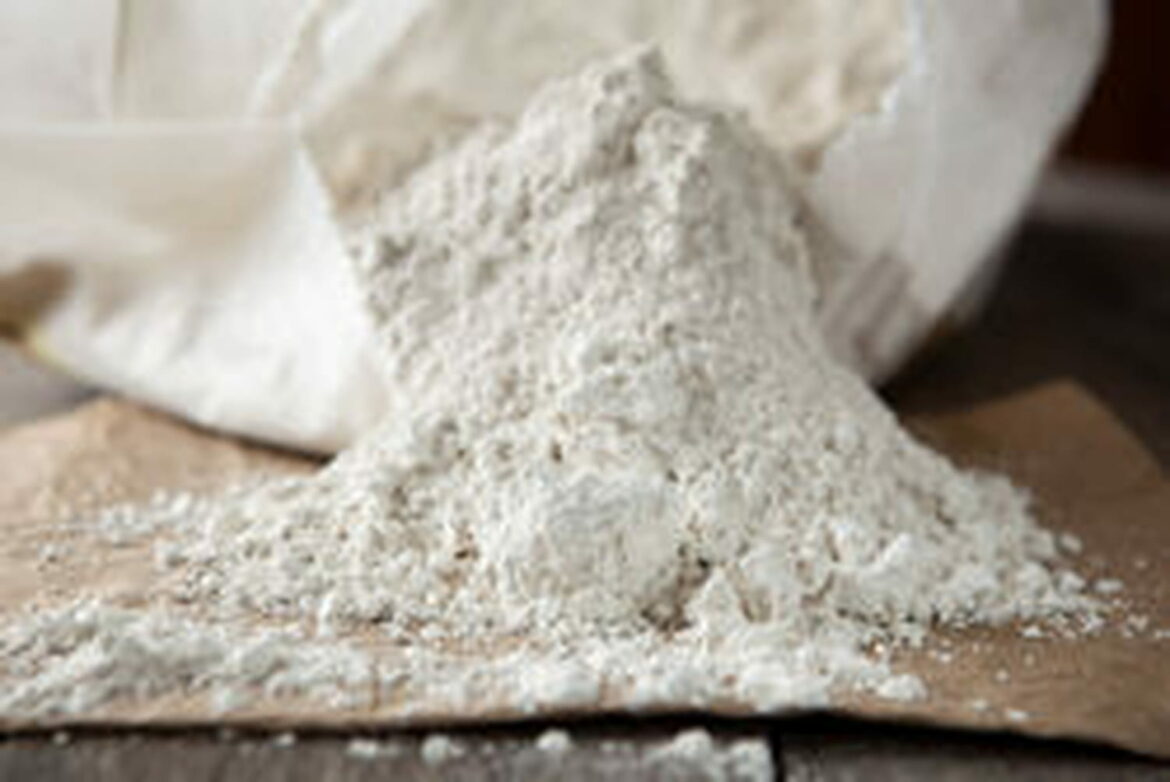 Comment se débarrasser des puces sur l'homme ?