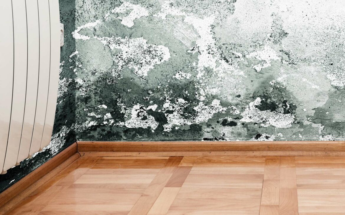 Comment supprimer les remontées capillaires ?