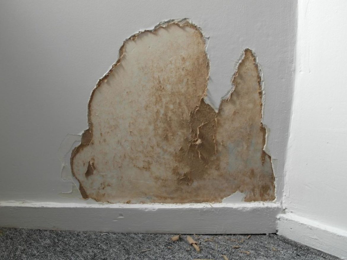 Comment traiter un mur moisi avant peinture ?