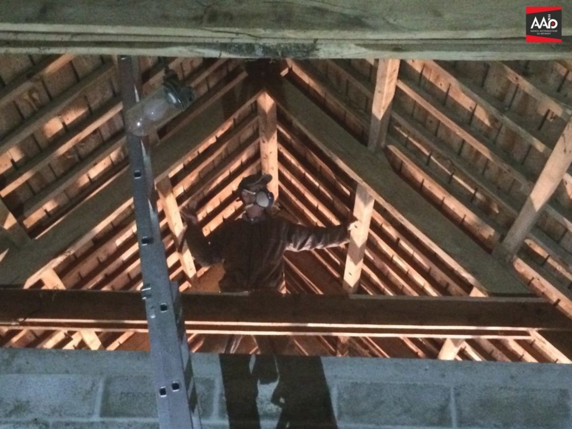 Comment traiter une charpente bois Soi-même ?