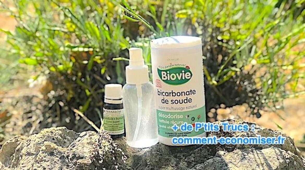 Comment trouver d'où vient une mauvaise odeur ?