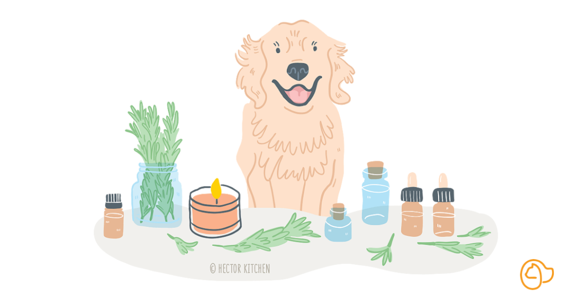 Comment trouver d'où vient une mauvaise odeur ?