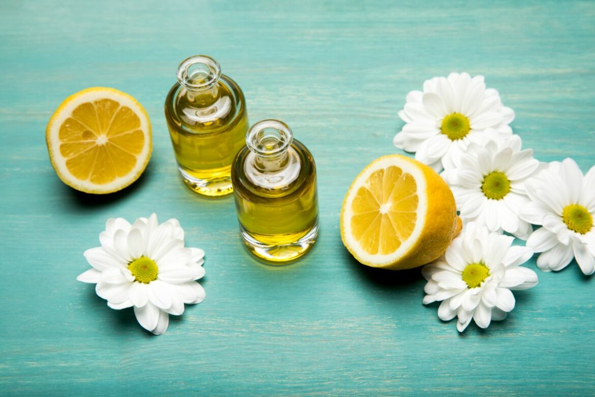 Comment tuer les œufs de punaises de lit ?