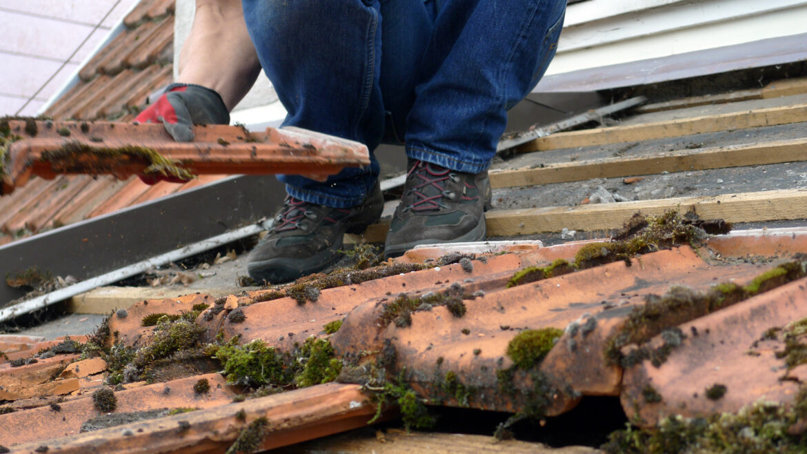 Est-ce que l'ardoise contient de l'amiante ?