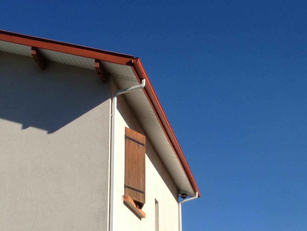 Pourquoi caché moineau ?