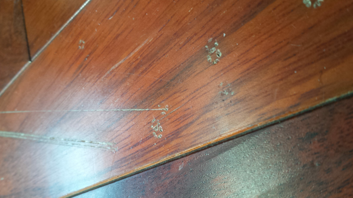 Pourquoi huiler un parquet ?