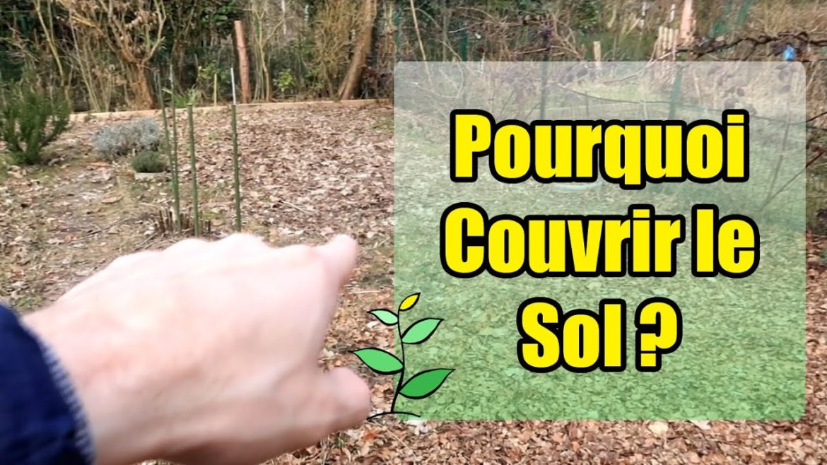 Pourquoi le sol gonflé ?