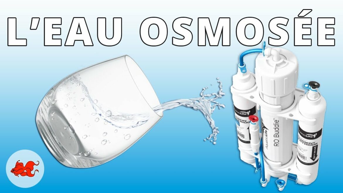 Pourquoi mettre de l'eau osmosée dans l'aquarium ?