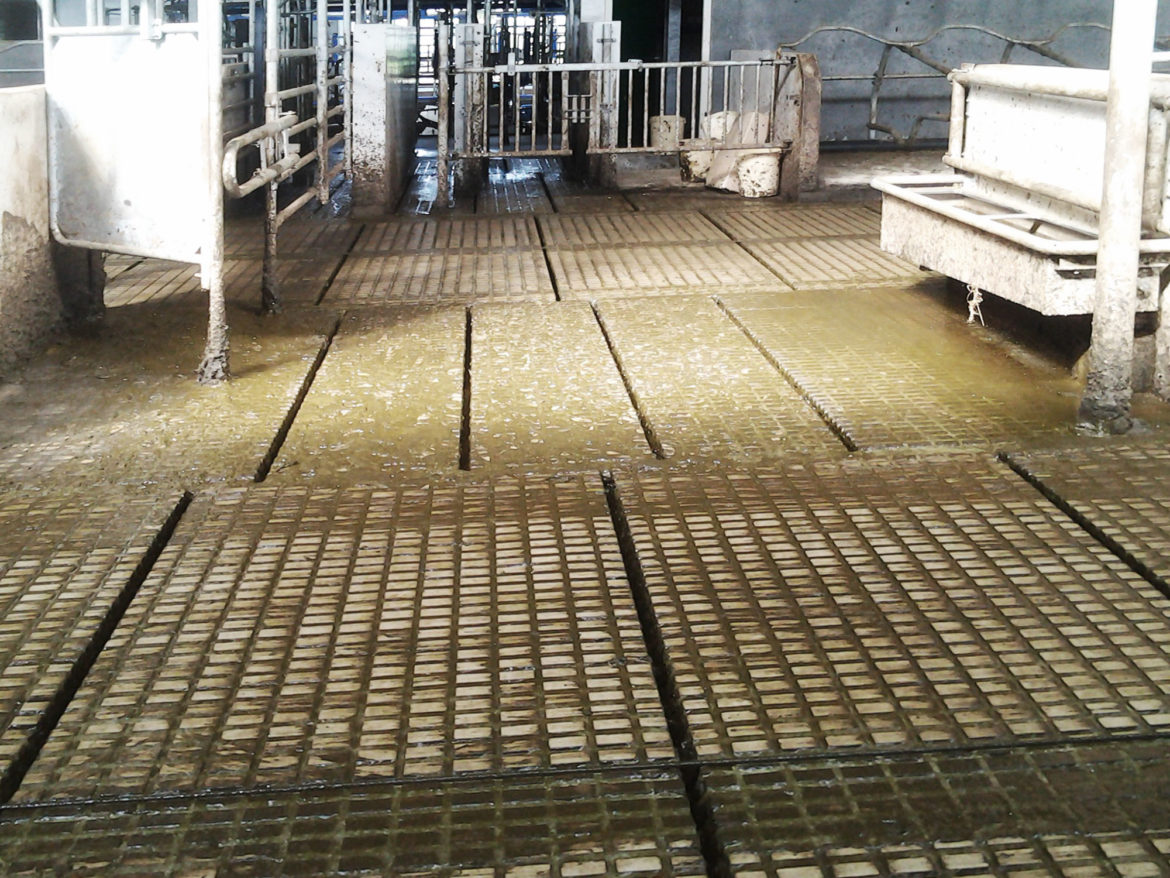 Quand Peut-on marcher sur une dalle de béton ?