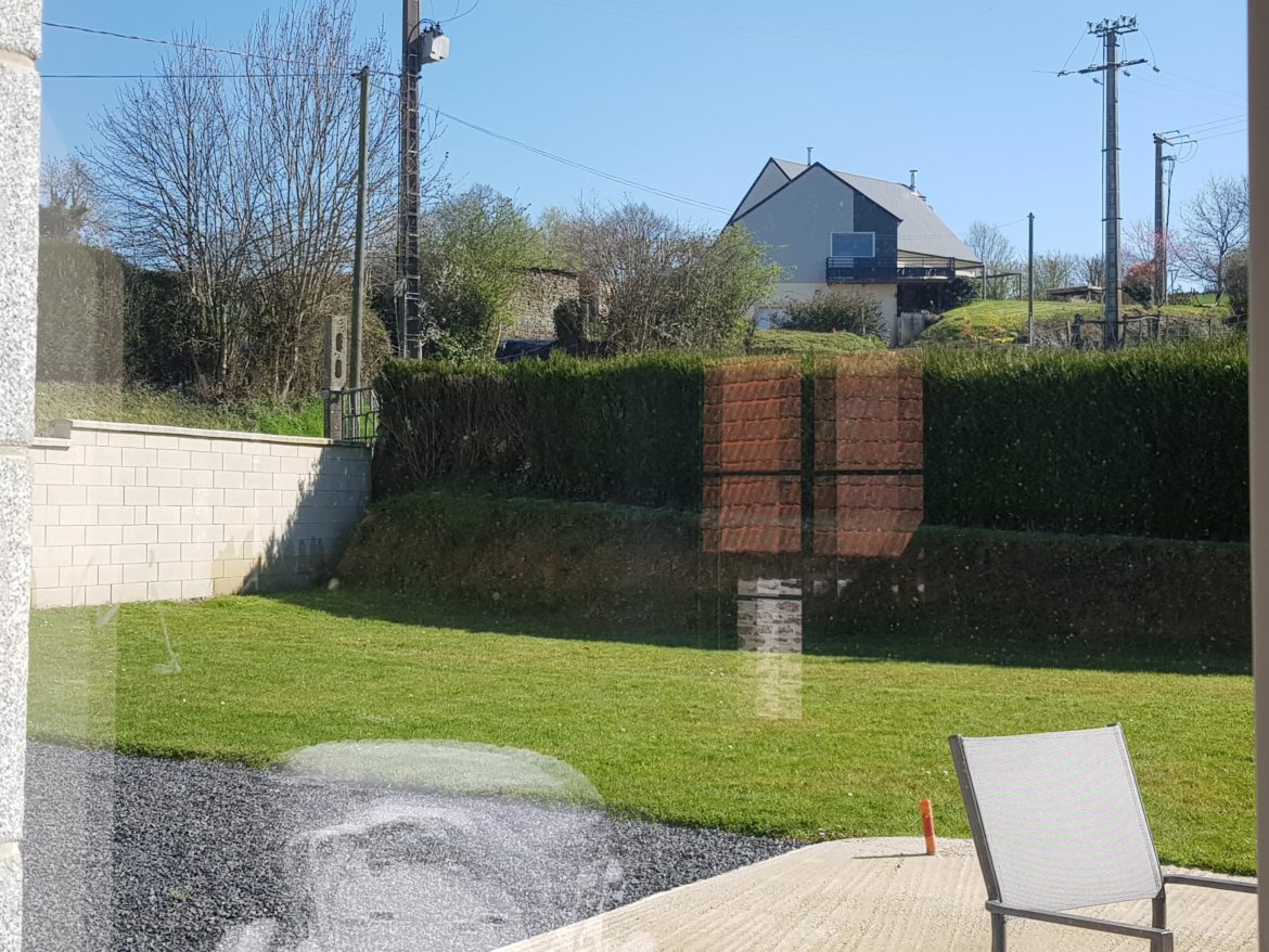 Quel arbre pour cacher Vis-à-vis ?