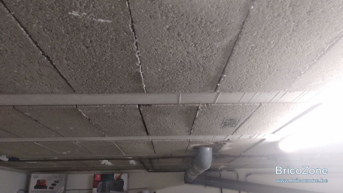 Quel artisan pour réparer plafond ?