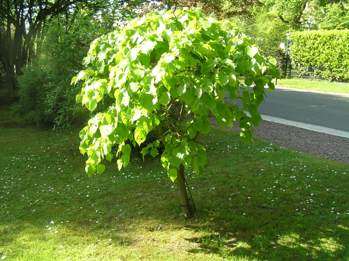 Quel climatiseur pour une pièce de 30M2 ?
