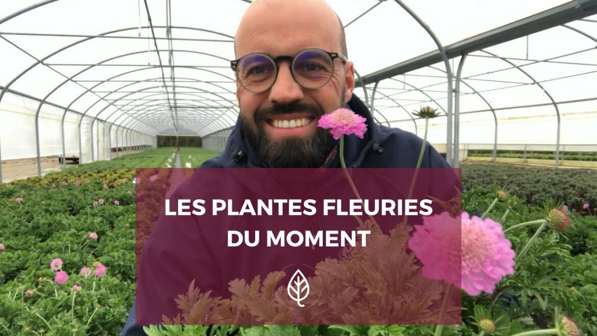 Quel disjoncteur pour l'éclairage ?