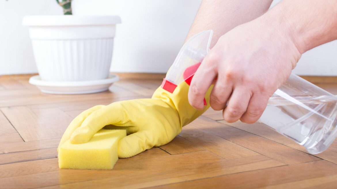 Quel est le meilleur logiciel Architecture 3D gratuit ?