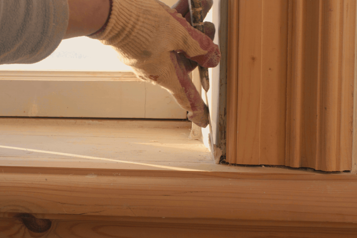 Quel est le meilleur temps pour planter des cèdres ?
