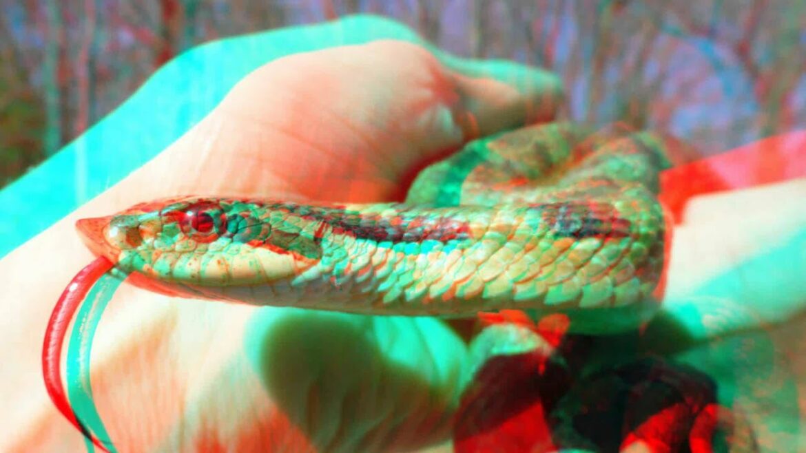 Quel est le prix d'une chaudière à granulés ?