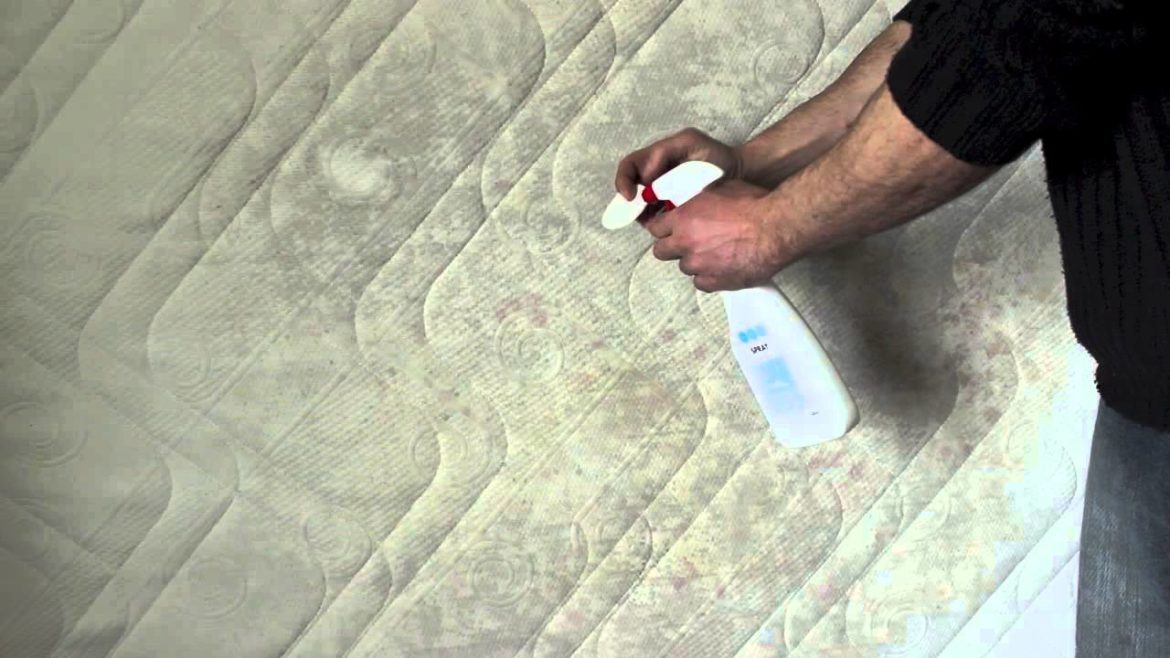 Quel produit pour nettoyer moisissure ?