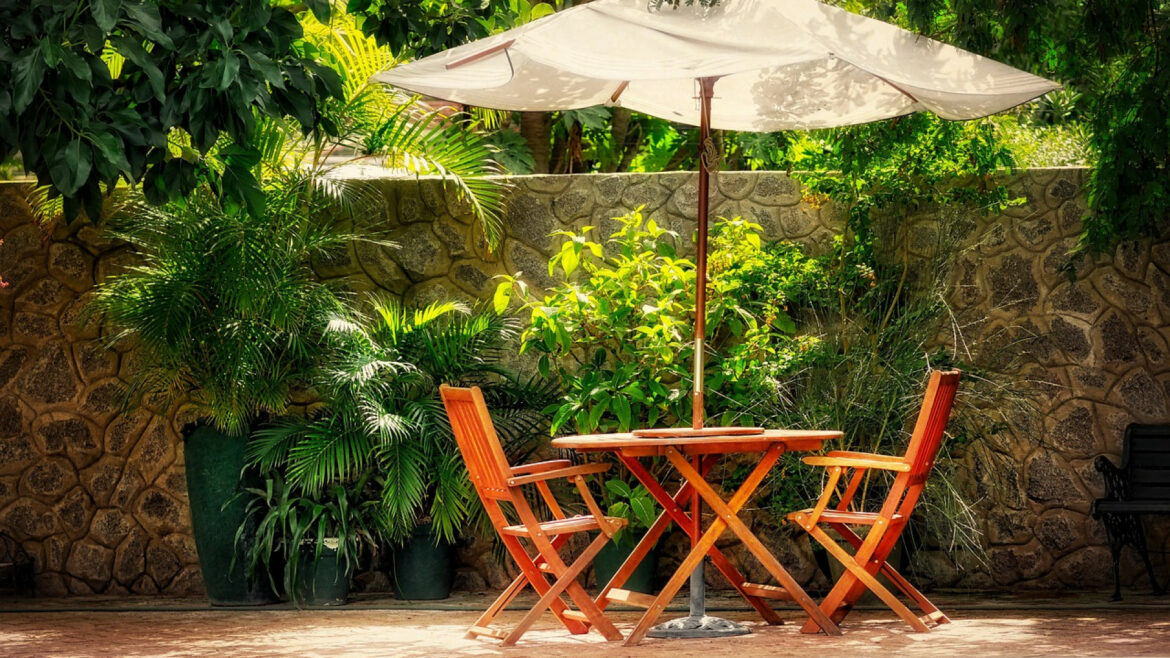 Quel revêtement sur mur plâtre ?