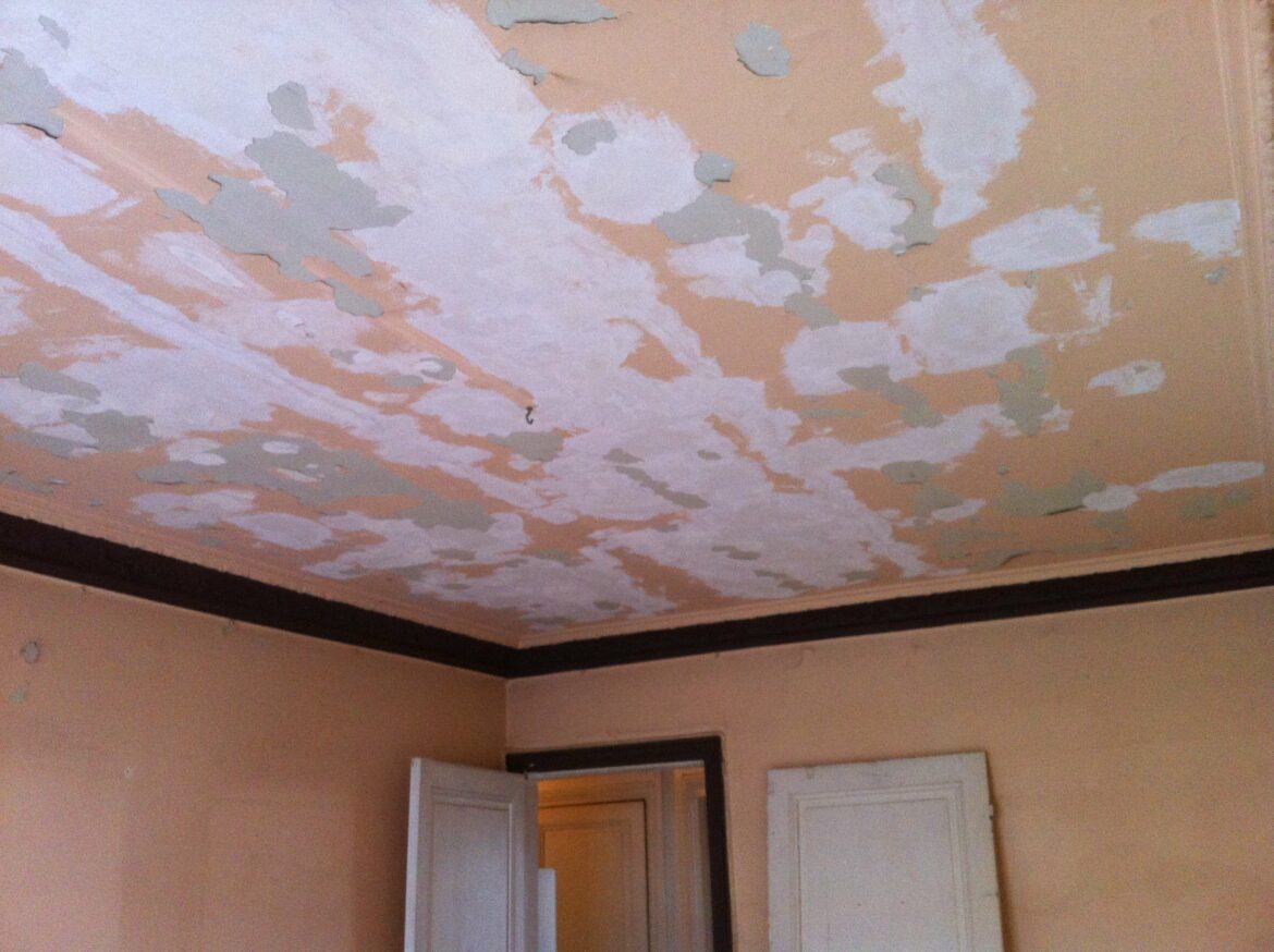 Quel type de faux plafond choisir ?