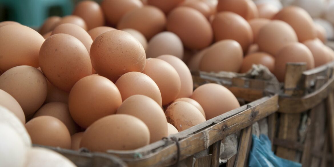 Quelle est la différence entre le gros œuvre et le second œuvre ?