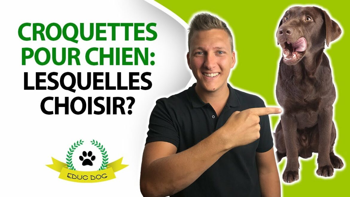 Quelle est la meilleure couleur pour une chambre ?