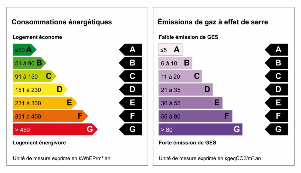 Quelle est la meilleure plante pour recouvrir un grillage ?