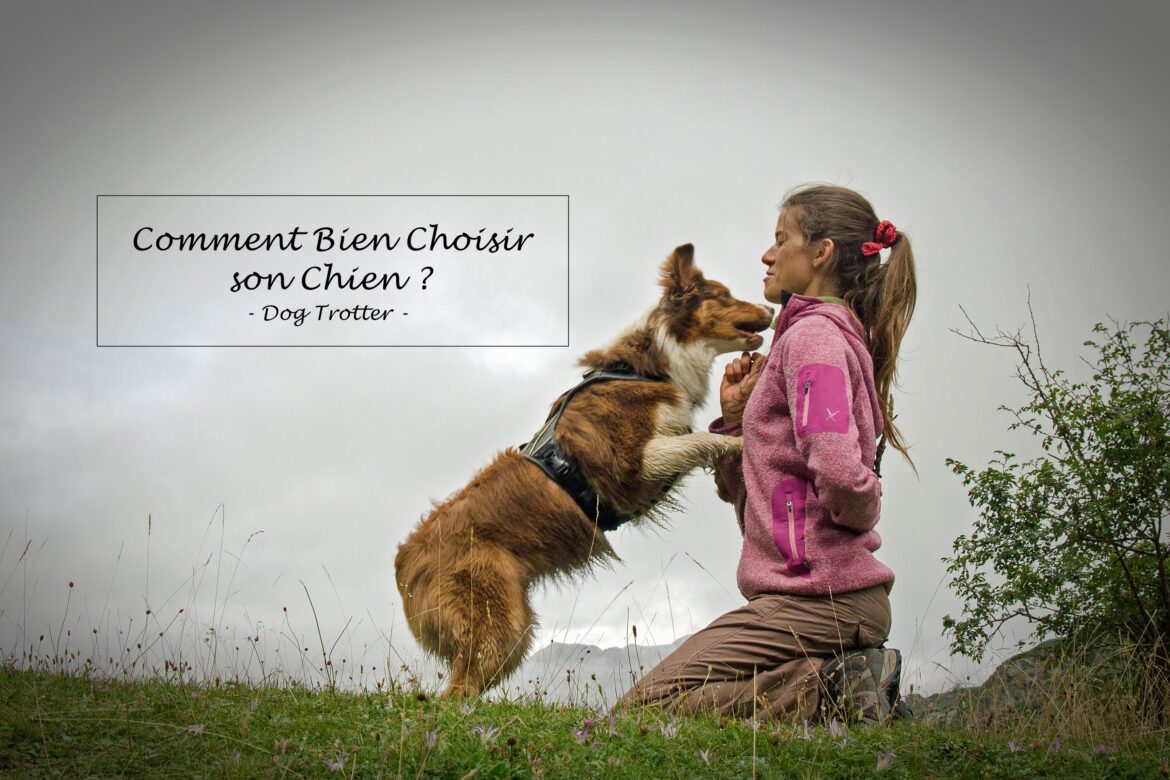 Quelle fibre de verre pour mur abîmé ?