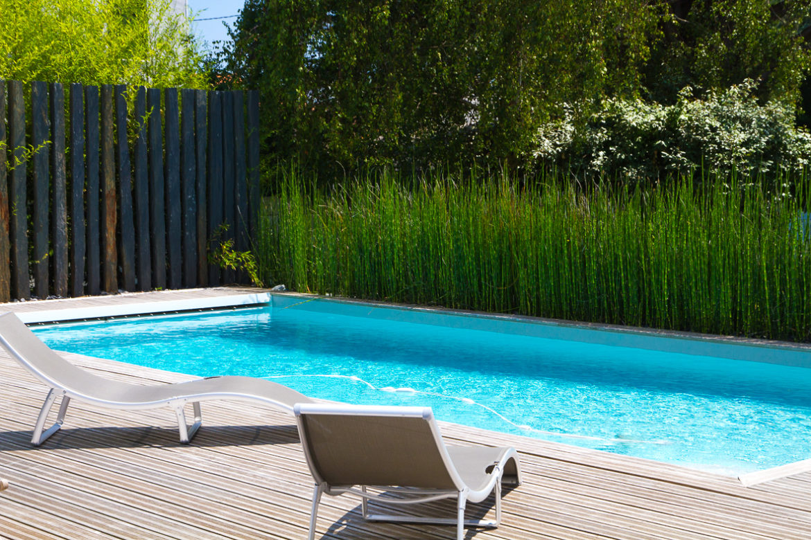 Quelle haie pour cacher piscine ?