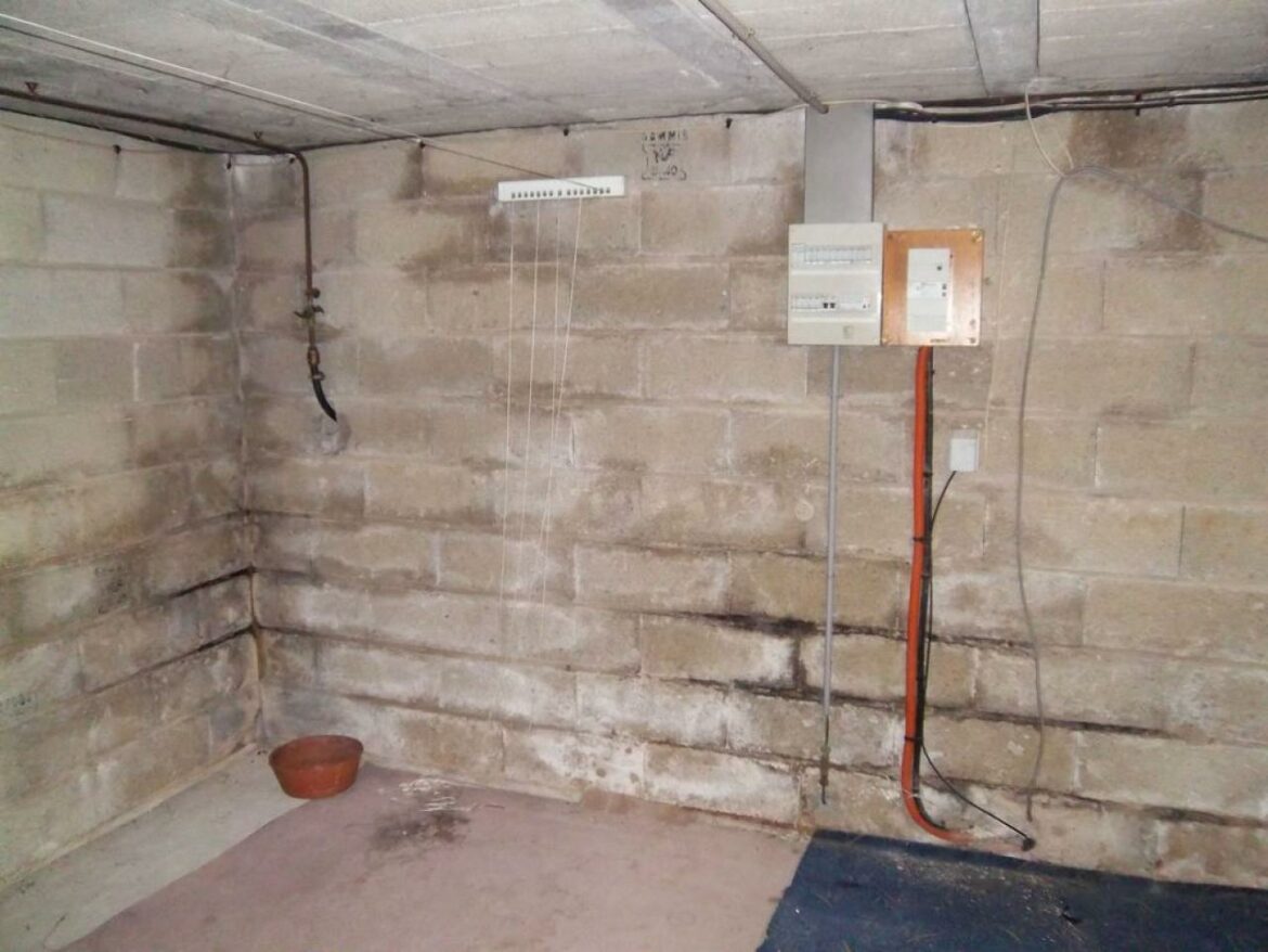 Quelle lumière pour une cave ?