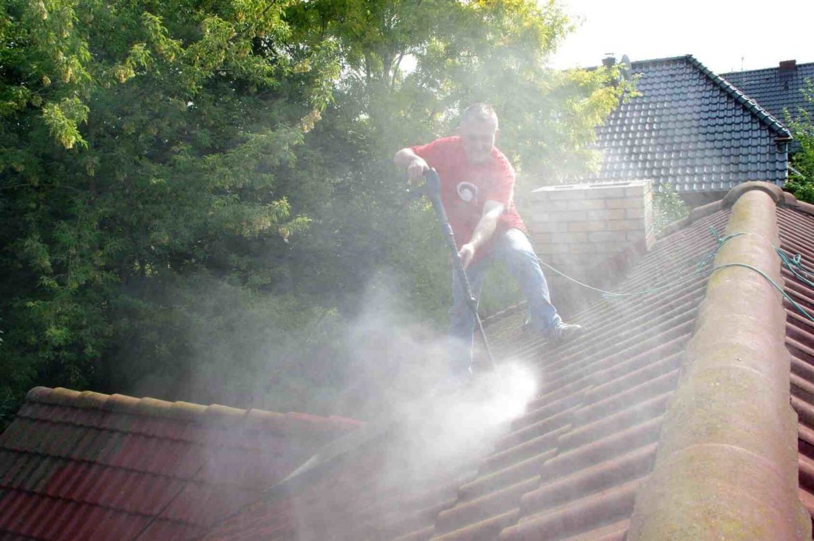 Quelle période pour traîter la mousse ?