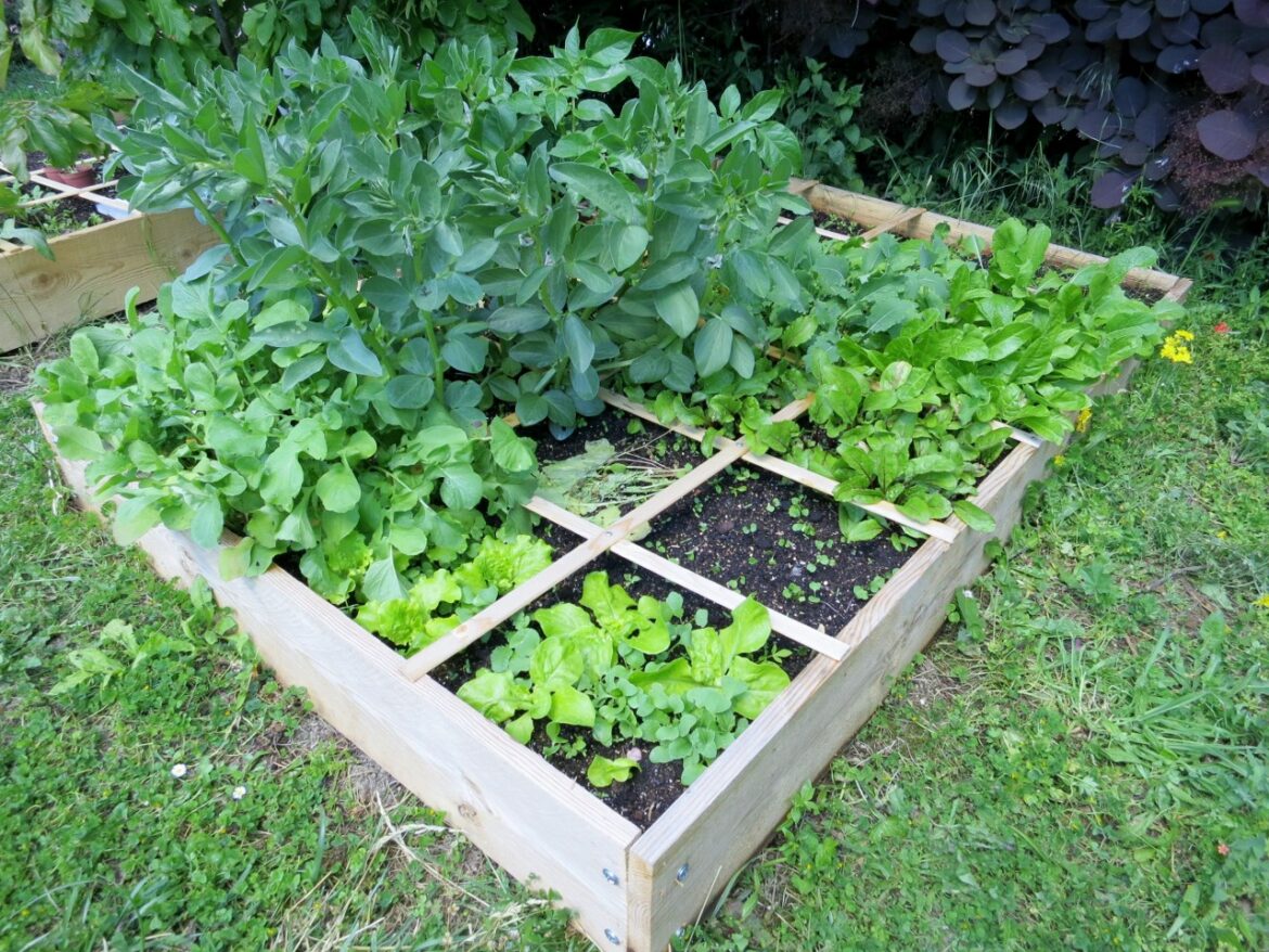 Quelle terre pour un potager surélevé ?