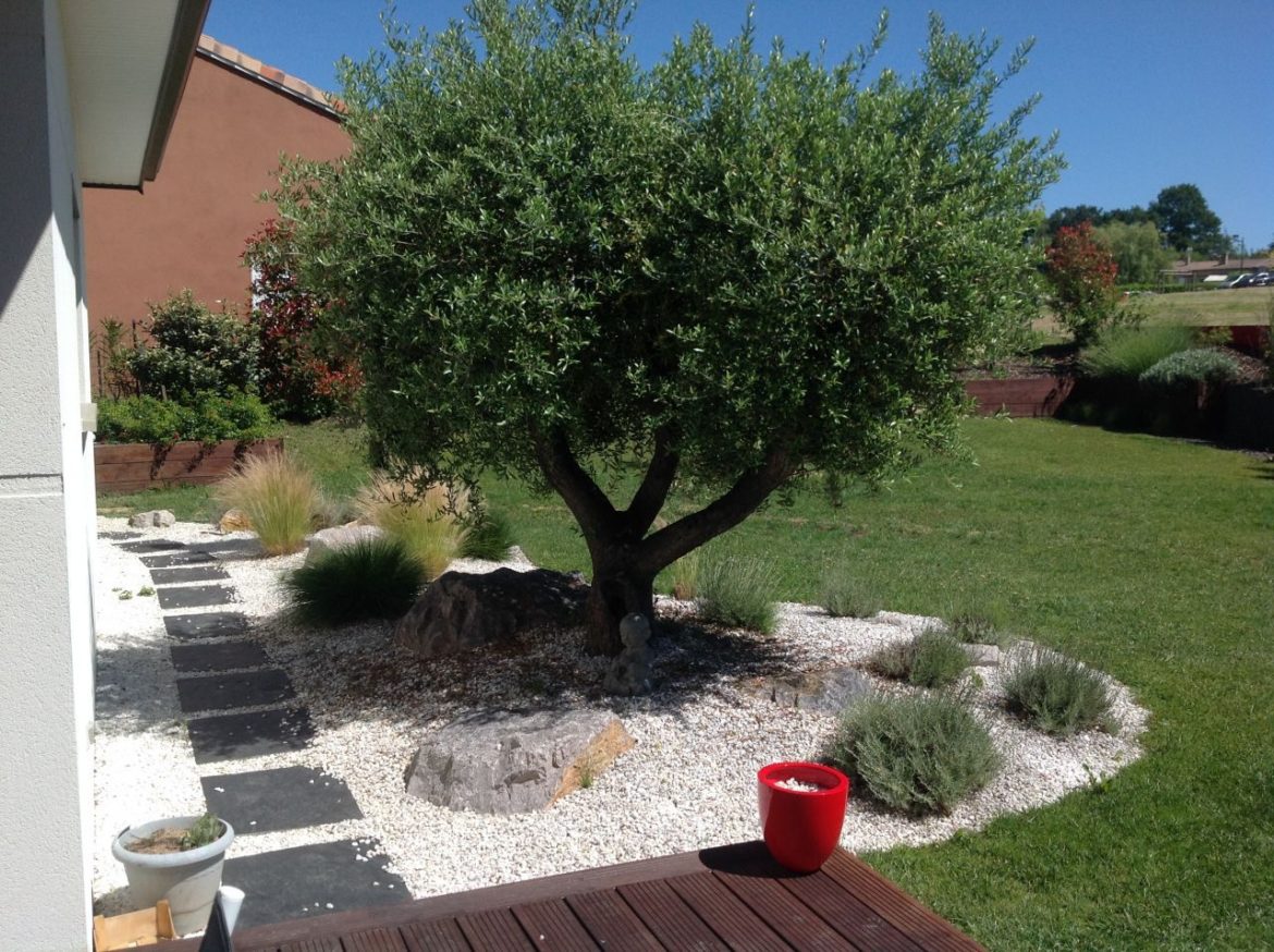 Quelles plantes dans un jardin minéral ?