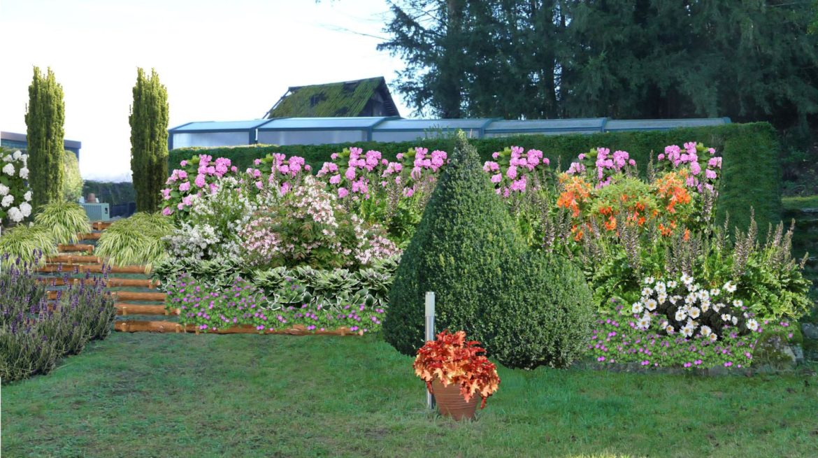 Quelles plantes mettre sur un talus en pente ?