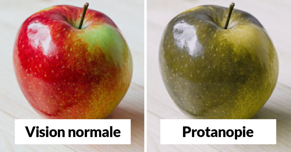 Quelles sont les couleurs que les daltoniens confondent ?