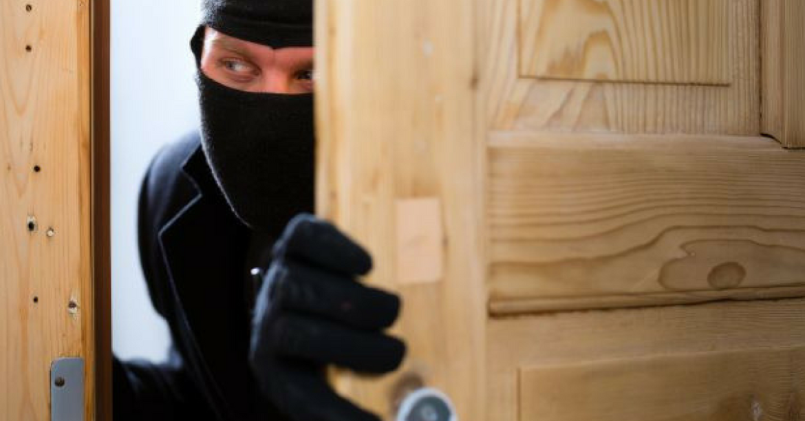 Quelles sont les odeurs que les chiens n'aiment pas ?