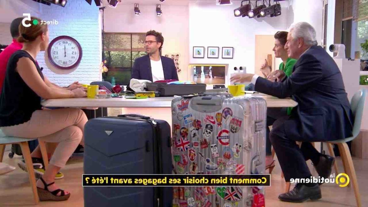 Quels sont les canisses les plus solides ?