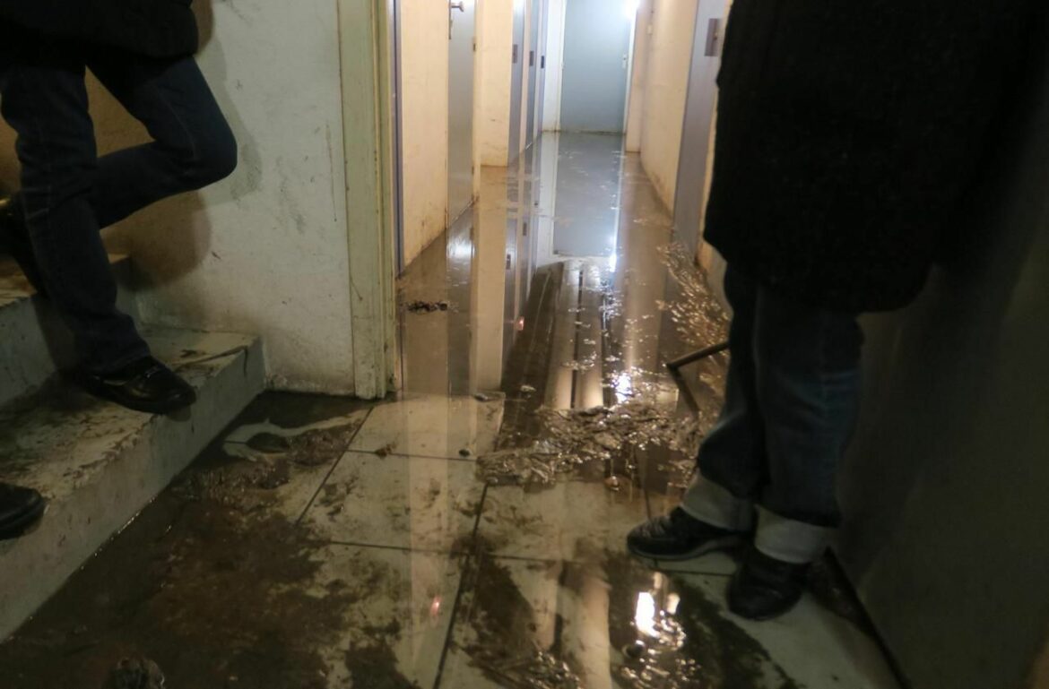 Quels sont les différents types de parquet ?