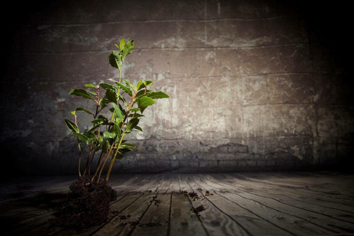 Quels sont les moyens pour se protéger du soleil ?