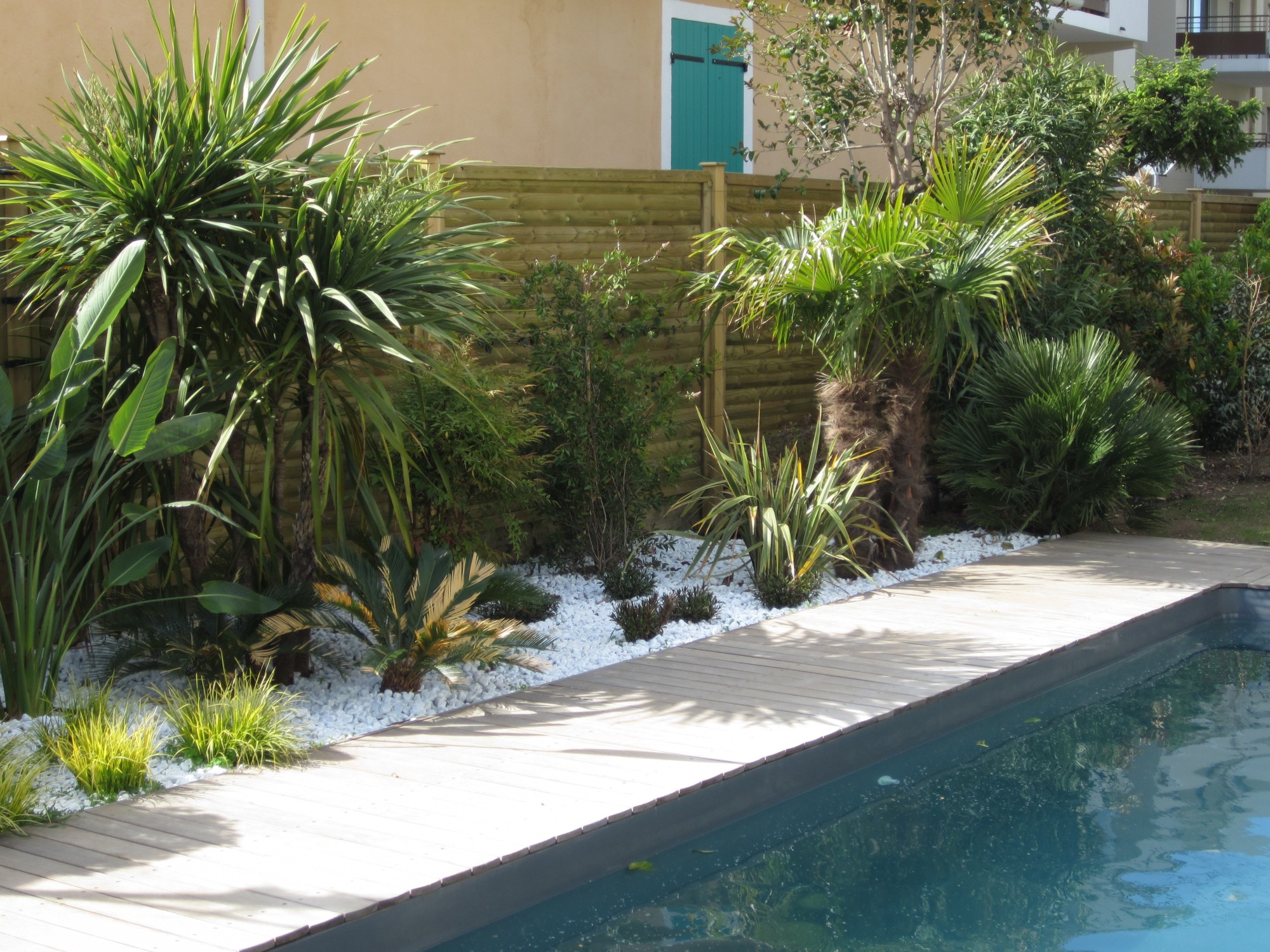 ¿Qué plantas alrededor de una piscina?