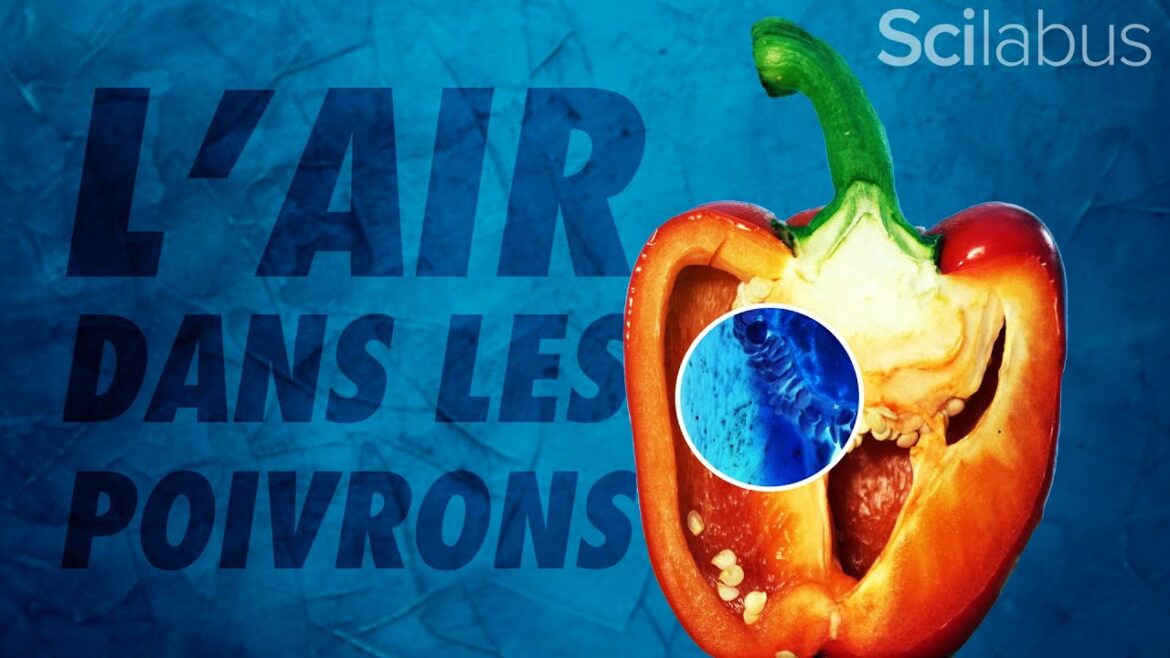 Qu'est-ce qui est pris en compte dans un prêt travaux ?