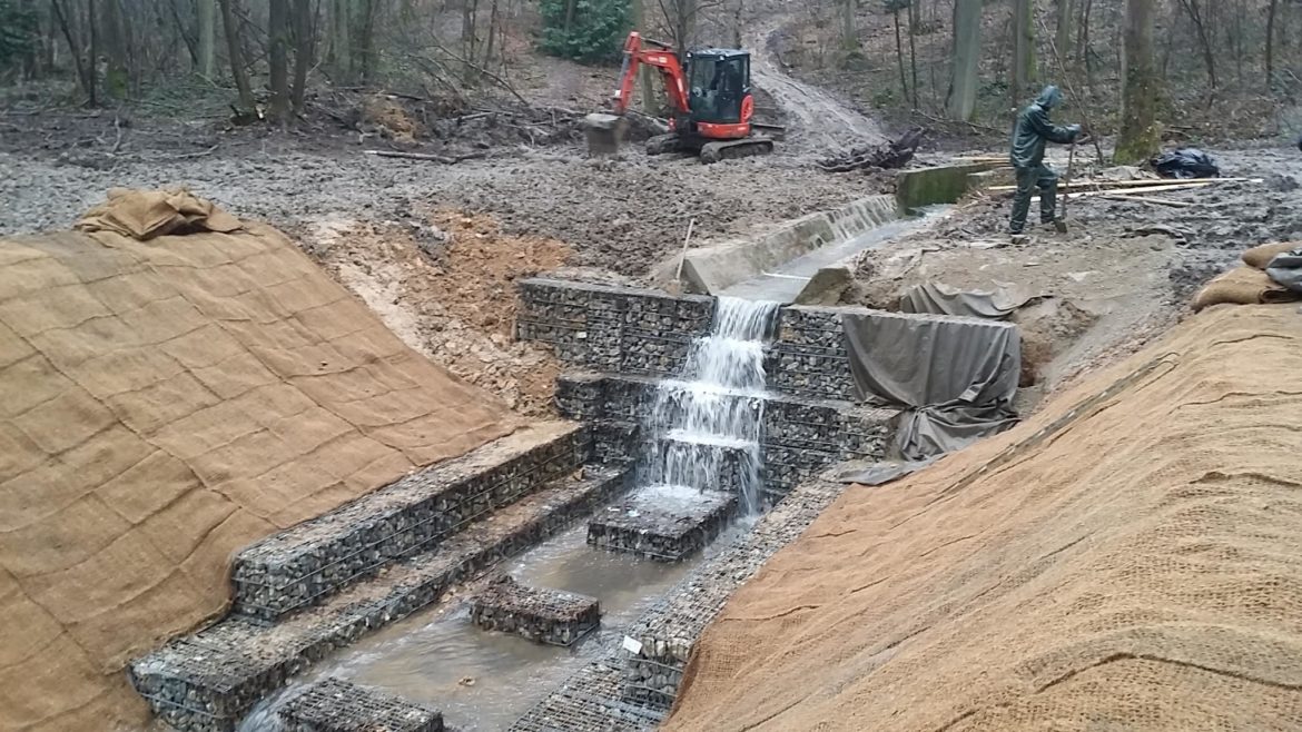 Qui fait le raccordement eaux pluviales ?